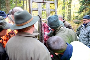 Praxisunterricht: Versorgen des erlegten Wildes. Lehrgangsteilnehmer schauen beim Ausweiden eines Wildschweins zu, das kopfüber an einem Aufbrechgestell hängt.