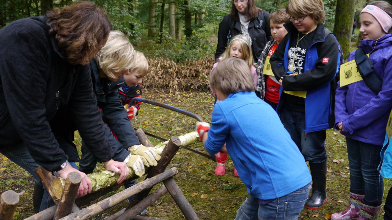 Quelle: Köhler/Jägerschaft Verden