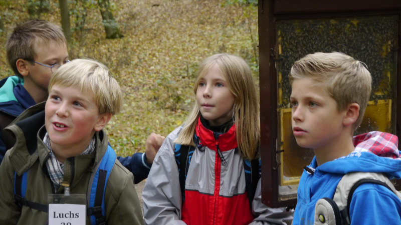 Quelle: Köhler/Jägerschaft Verden