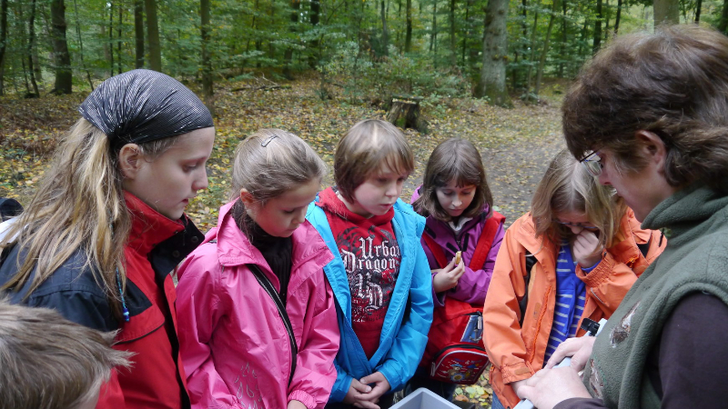 Quelle: Köhler/Jägerschaft Verden