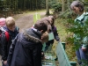 Quelle: Köhler/Jägerschaft Verden
