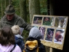 Quelle: Köhler/Jägerschaft Verden