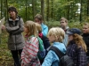 Quelle: Köhler/Jägerschaft Verden