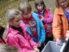 Quelle: Köhler/Jägerschaft Verden