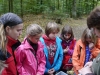 Quelle: Köhler/Jägerschaft Verden