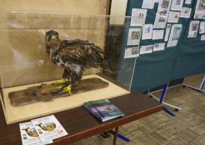 2026-03-07 13.03.54 A120005