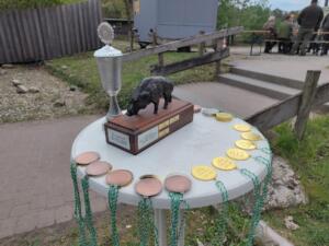 IMG-20260509-WA0043